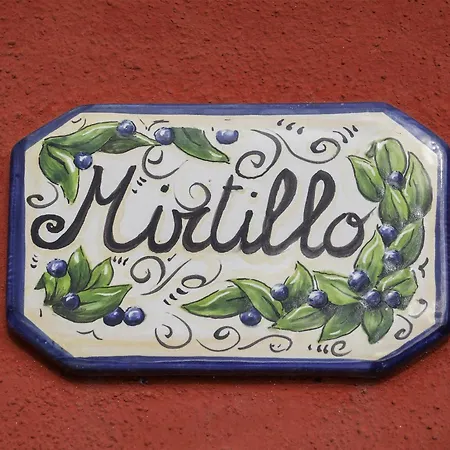 Mirtillo Di Hill Lucques